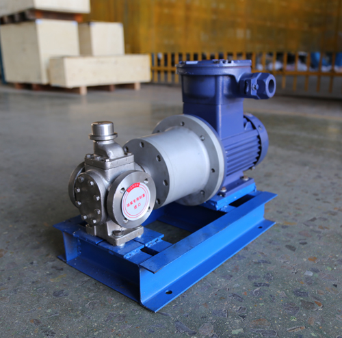 圓弧齒輪泵YCB10-1.6整機、配磁力聯(lián)軸器.JPG